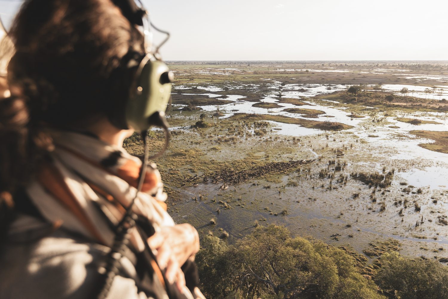 Looking over the Delta's channels from a helicopter