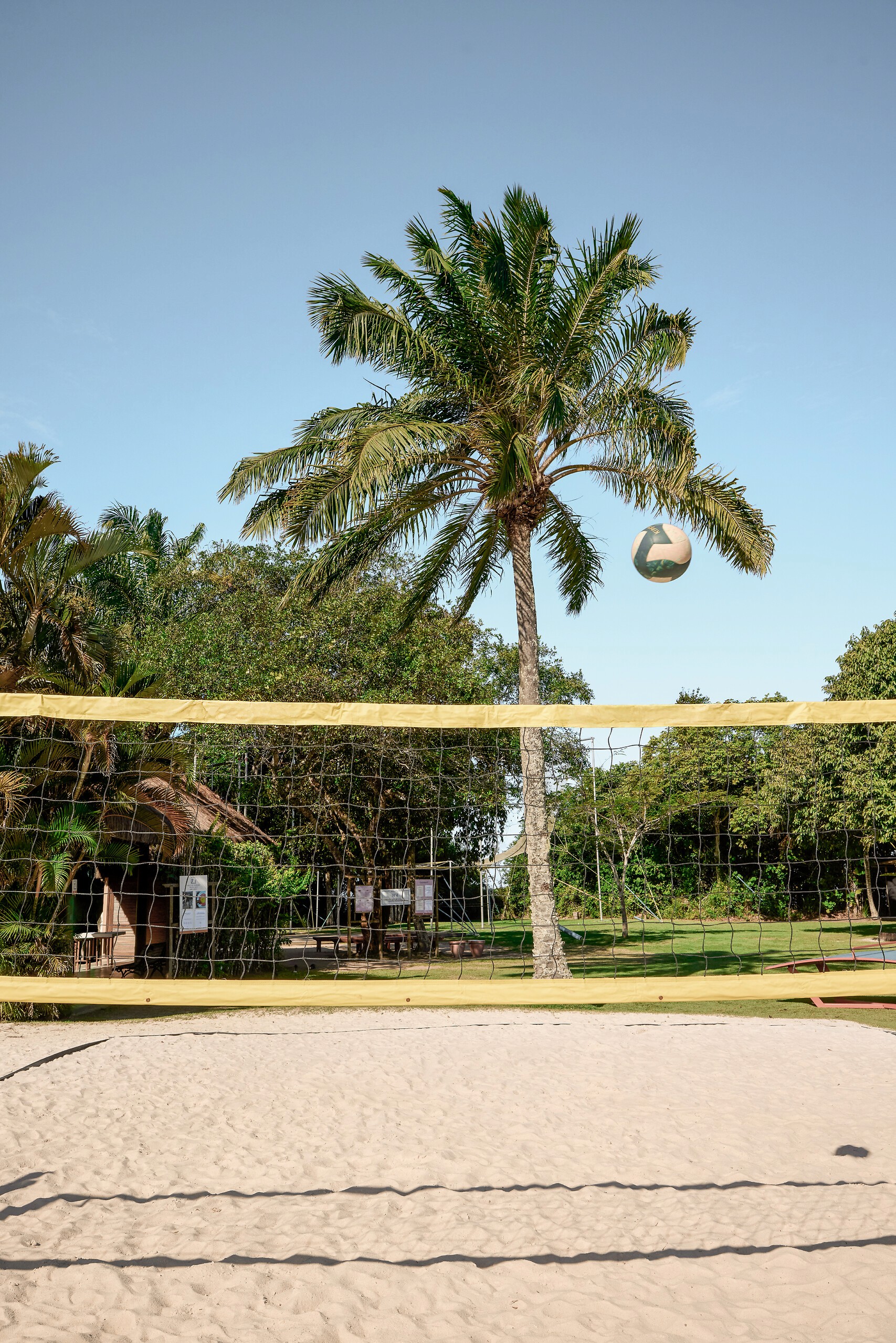 A serene outdoor wedding setup with white chairs arranged on green grass under a canopy of trees.