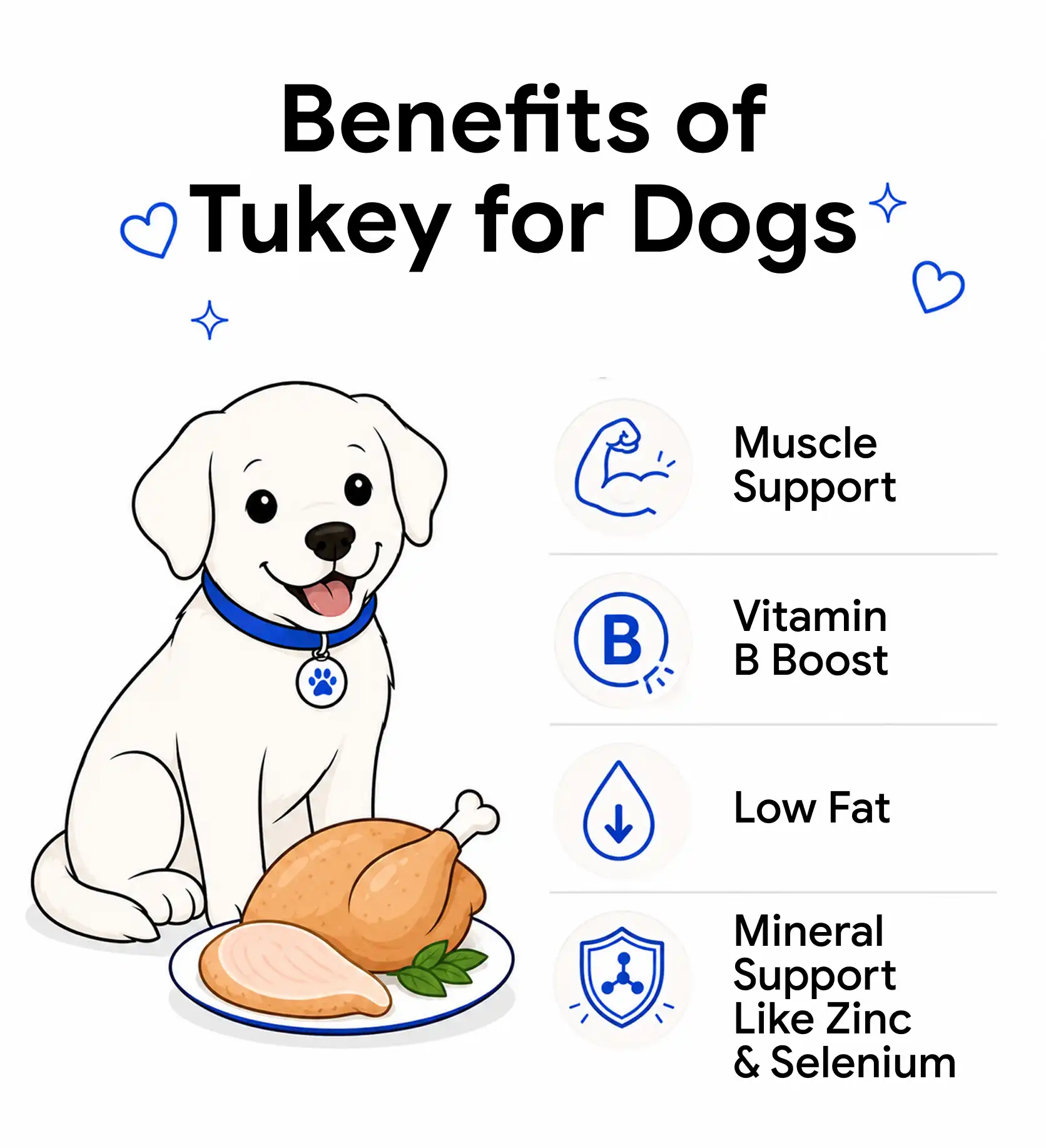 Benefits of turkey for dogs