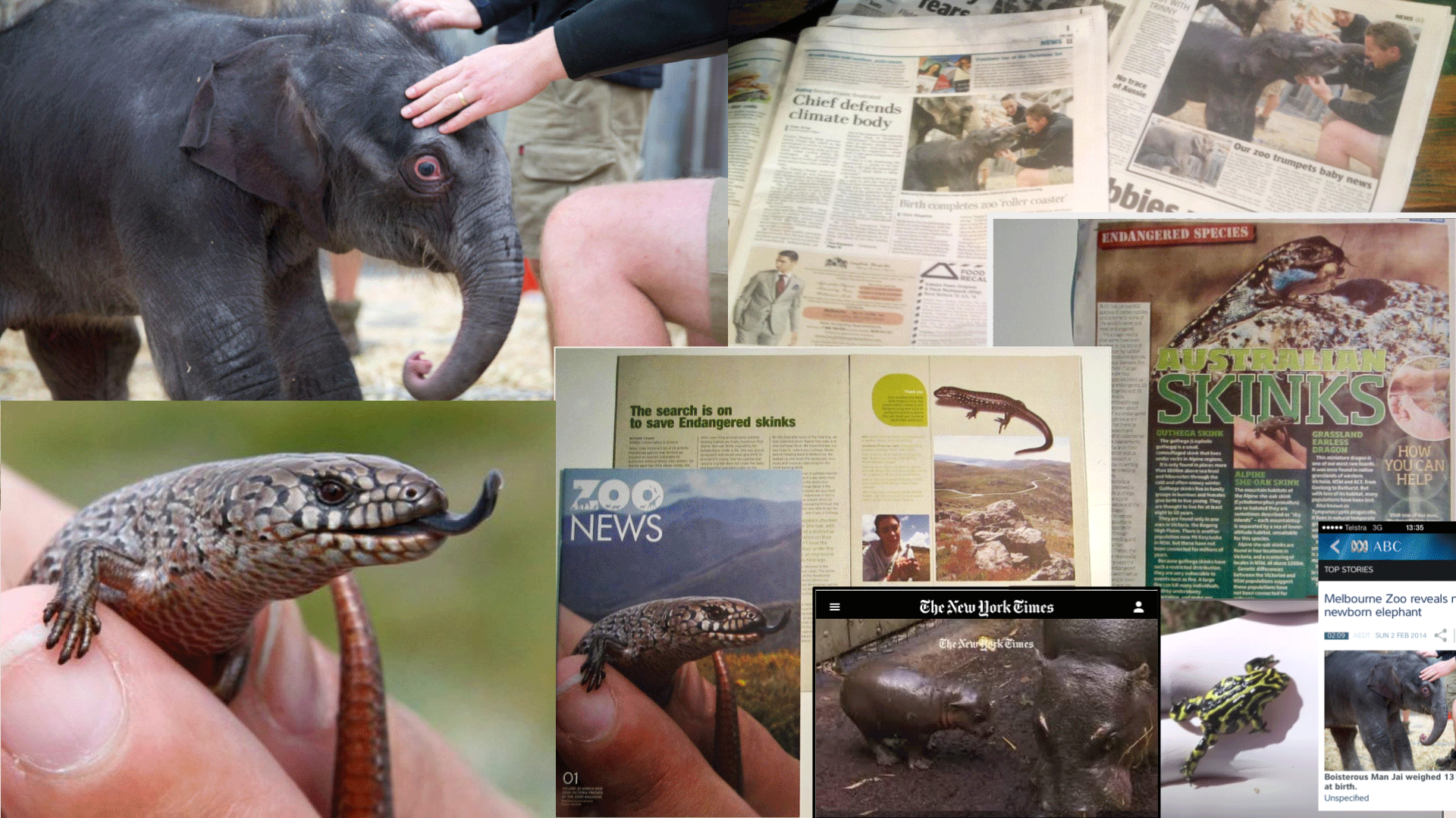 Tangerine mobile app