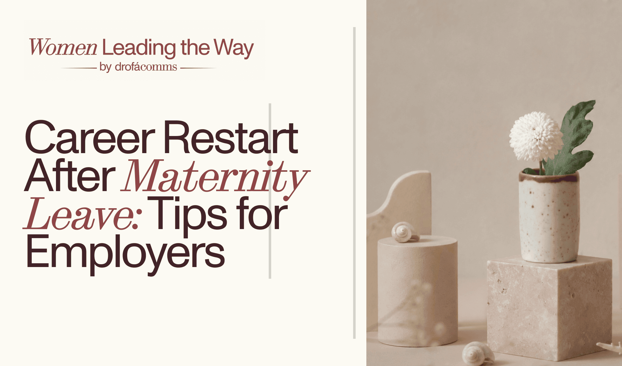 Drofa Comms graphic for "Maternity Leave Career Restart: Tips for Employers," with a minimalist still-life design.