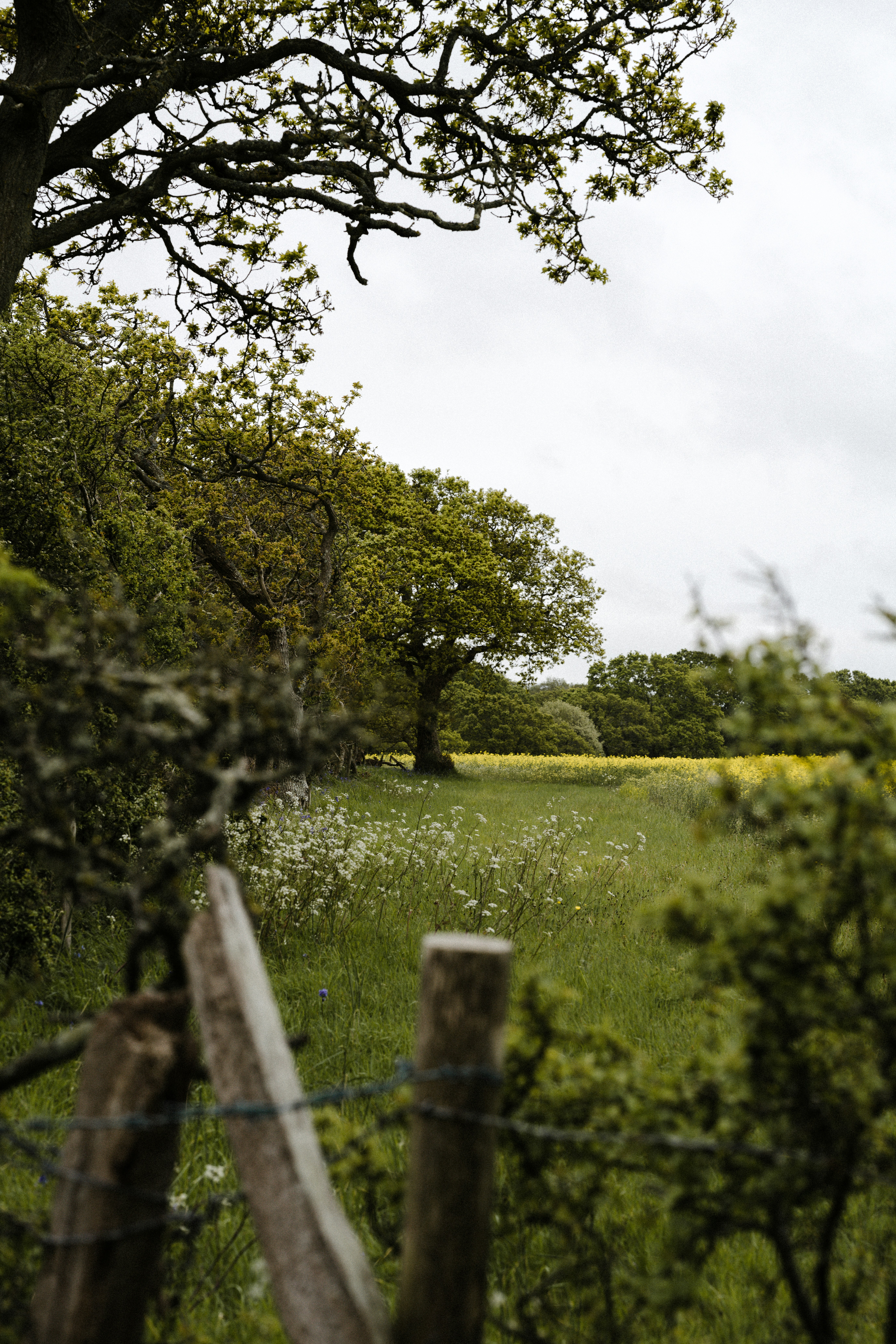 cabañas para ir de vacaciones cerca del campo