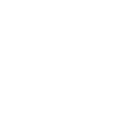 download icon