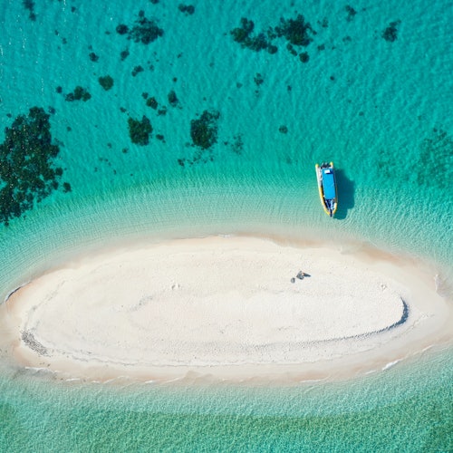 烏龜旅行者冒險