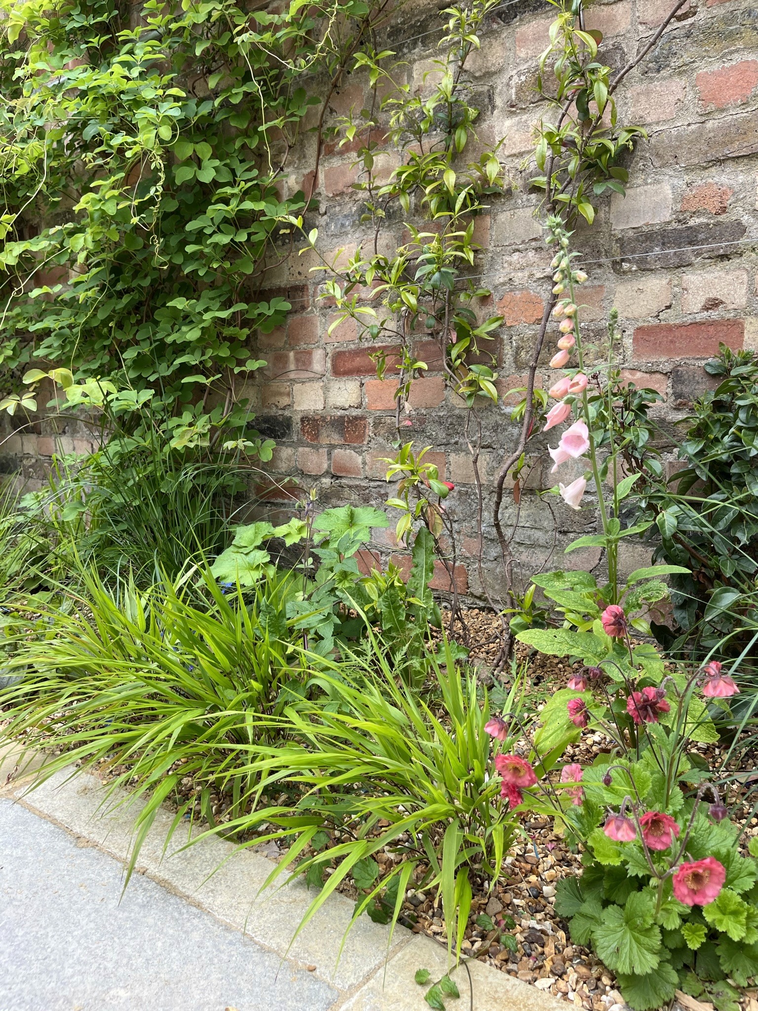 jkhsdbkjfksjfkjsdfsdf