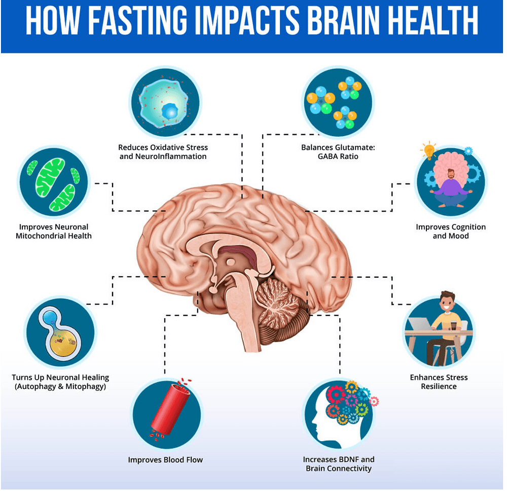 Diagram showing the benefits of fasting on brain health, including improved cognition, reduced oxidative stress, enhanced stress resilience, and increased brain connectivity.