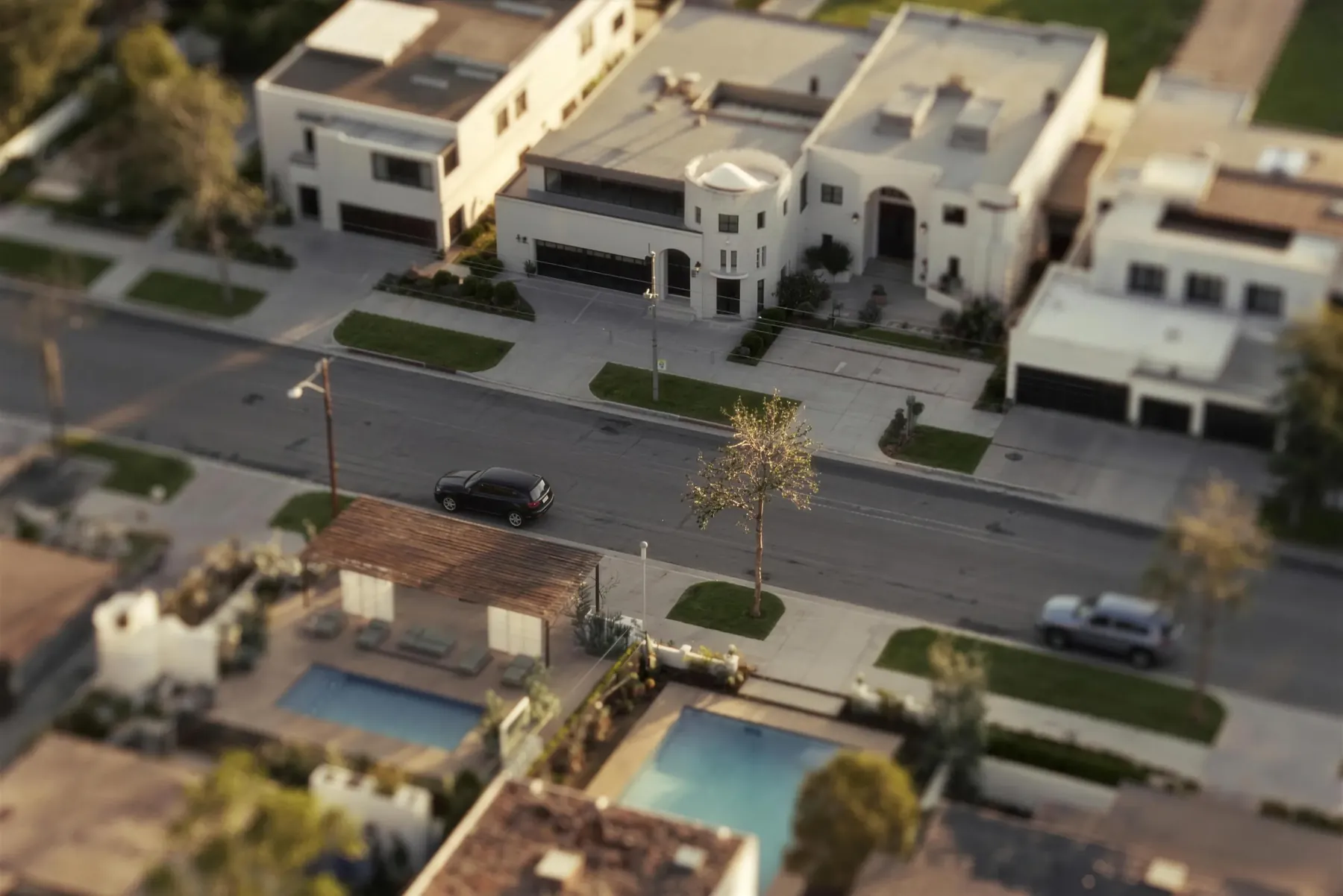 Aerial view of a tree lined street with pools behind the houses