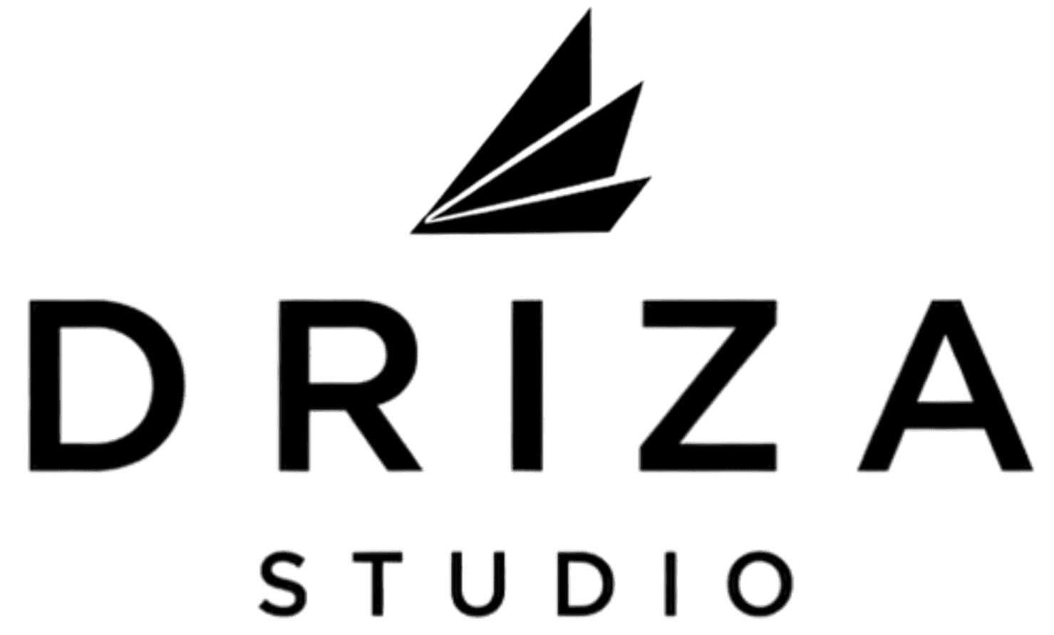 logo driza studio