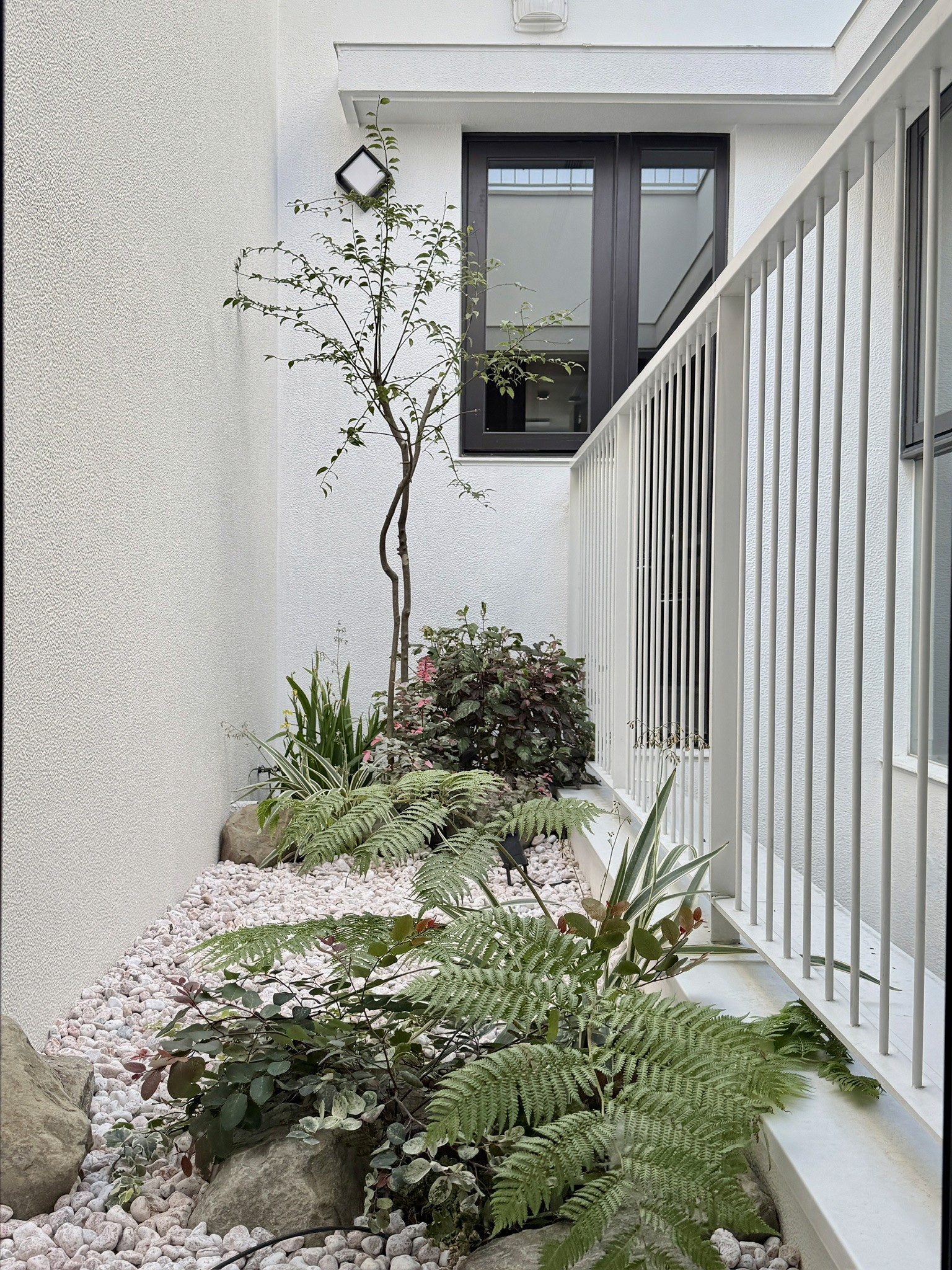 Portfolio project image