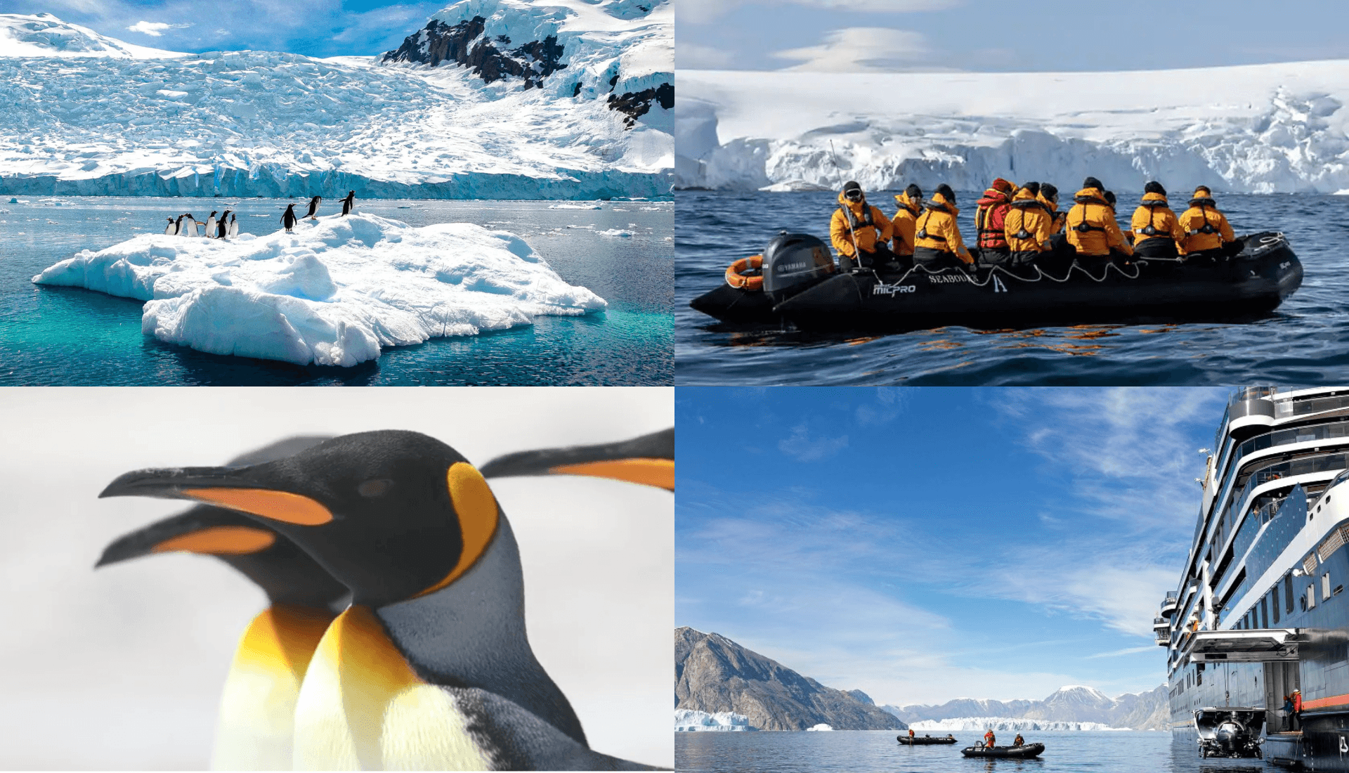 Real Estate Property image 5