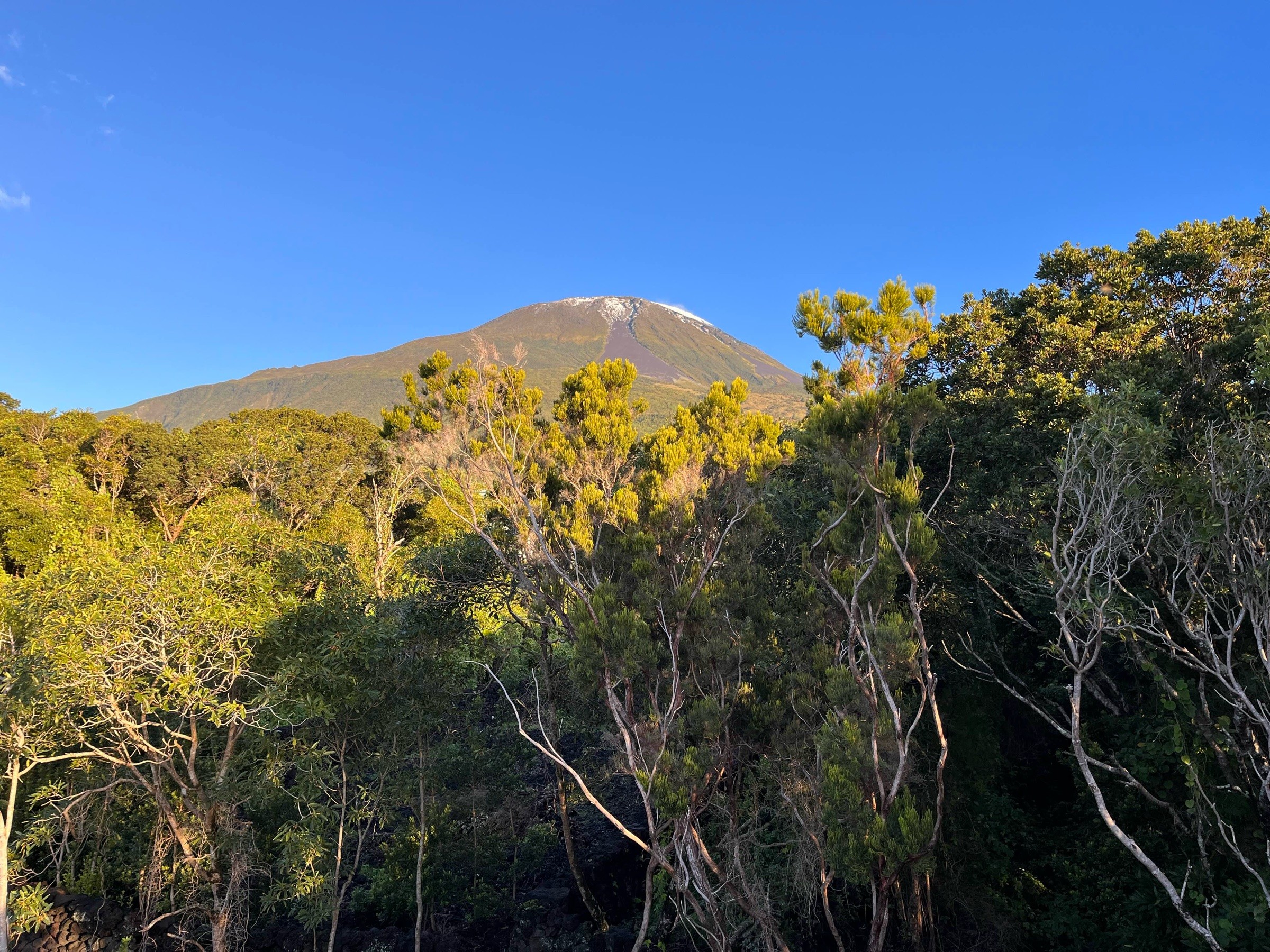 View of Pico Mountain from the property