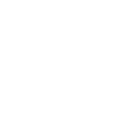 Bravus Race Logo