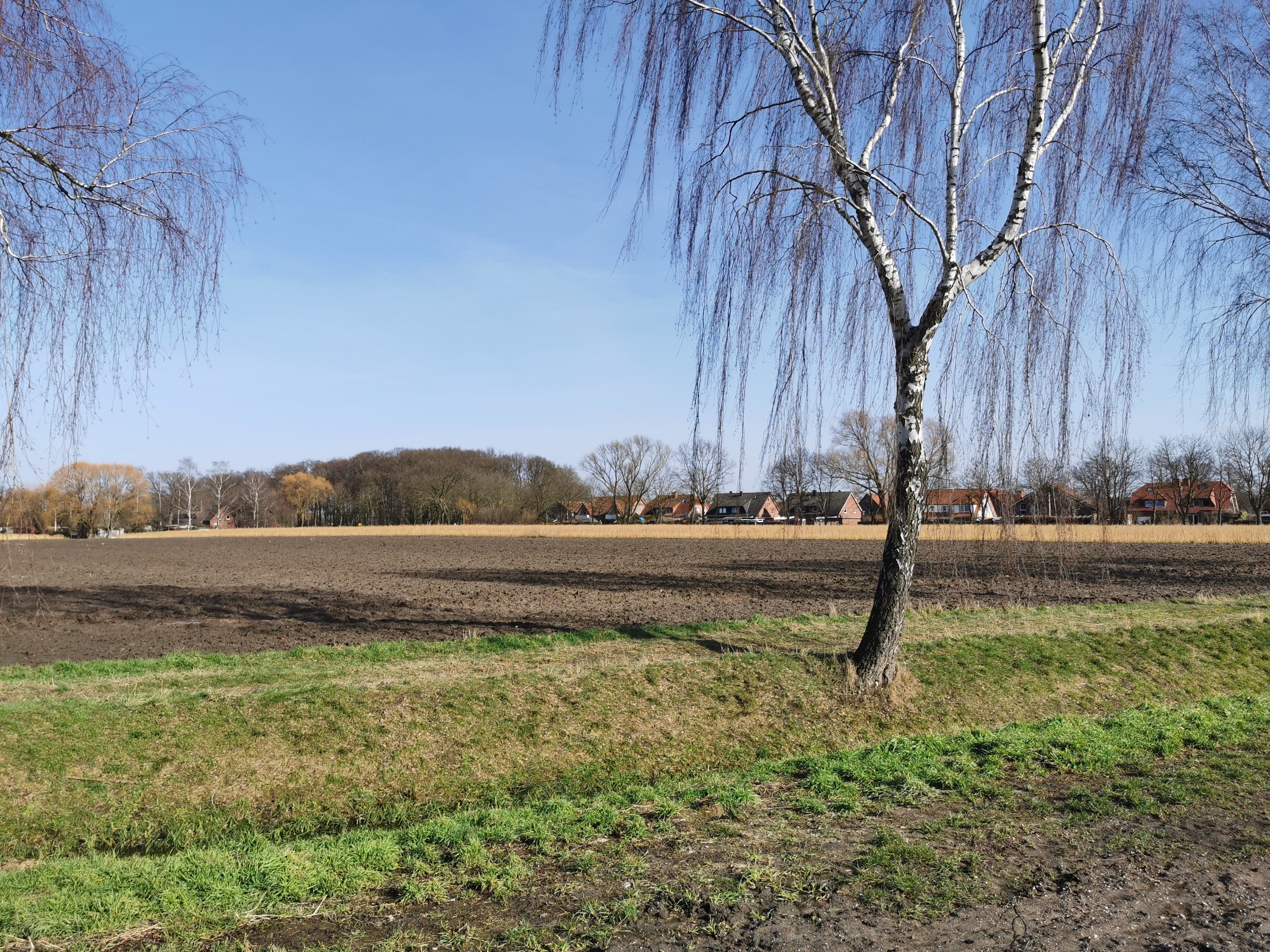 Acker in Warendorf
