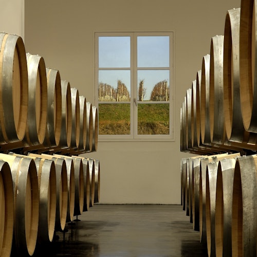 Řady dřevěných sudů lemují zdi místnosti, na jejímž konci okno nabízí výhled na vinici.