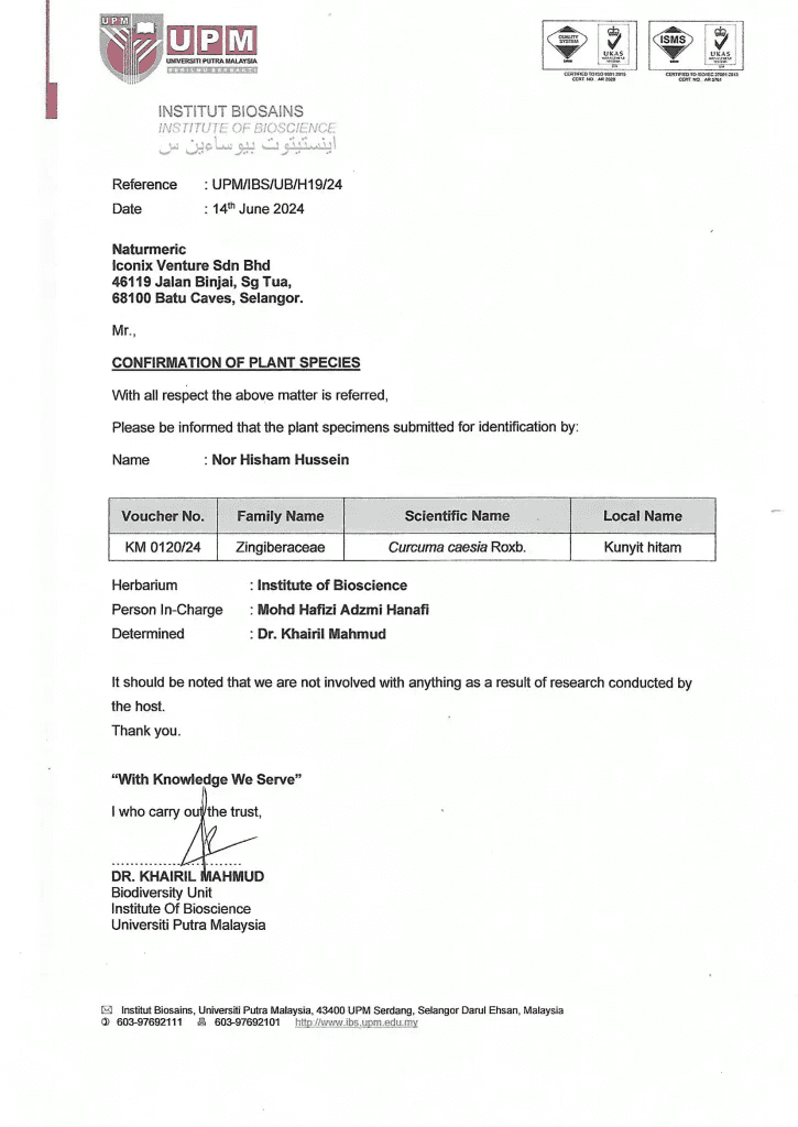 wakil naturmeric membuat penyelidikan kunyit hitam di varian
