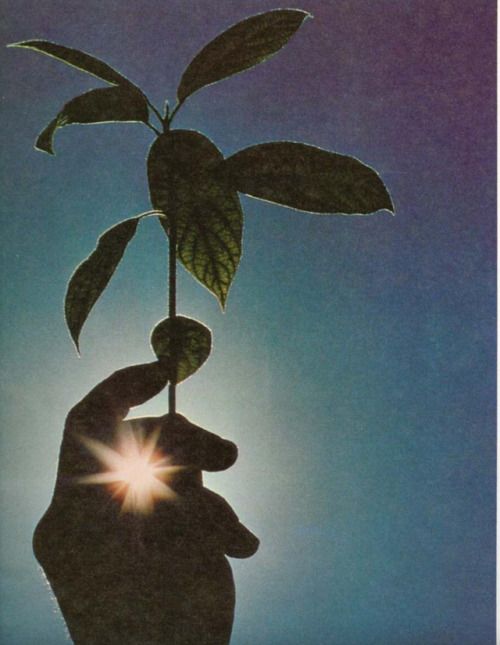 Captured moment from a corporate or social event.