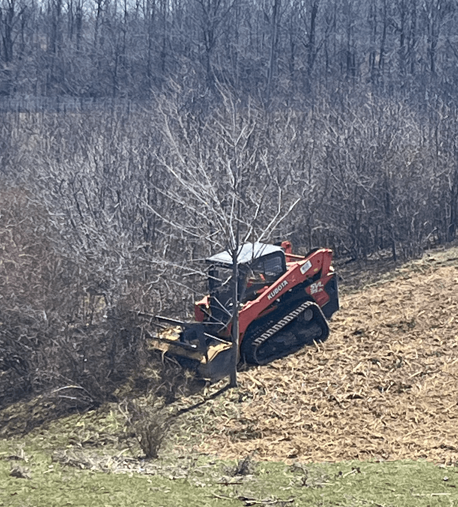 hole dug for septci tank