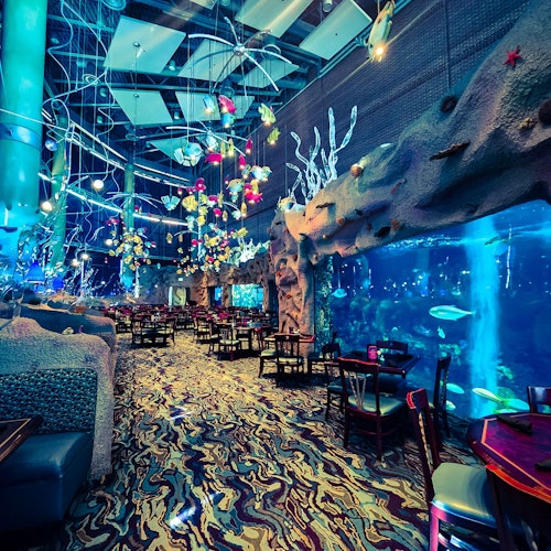 A restaurant with underwater-themed decor, including large fish tanks, colorful hanging lights, and marine-inspired seating.