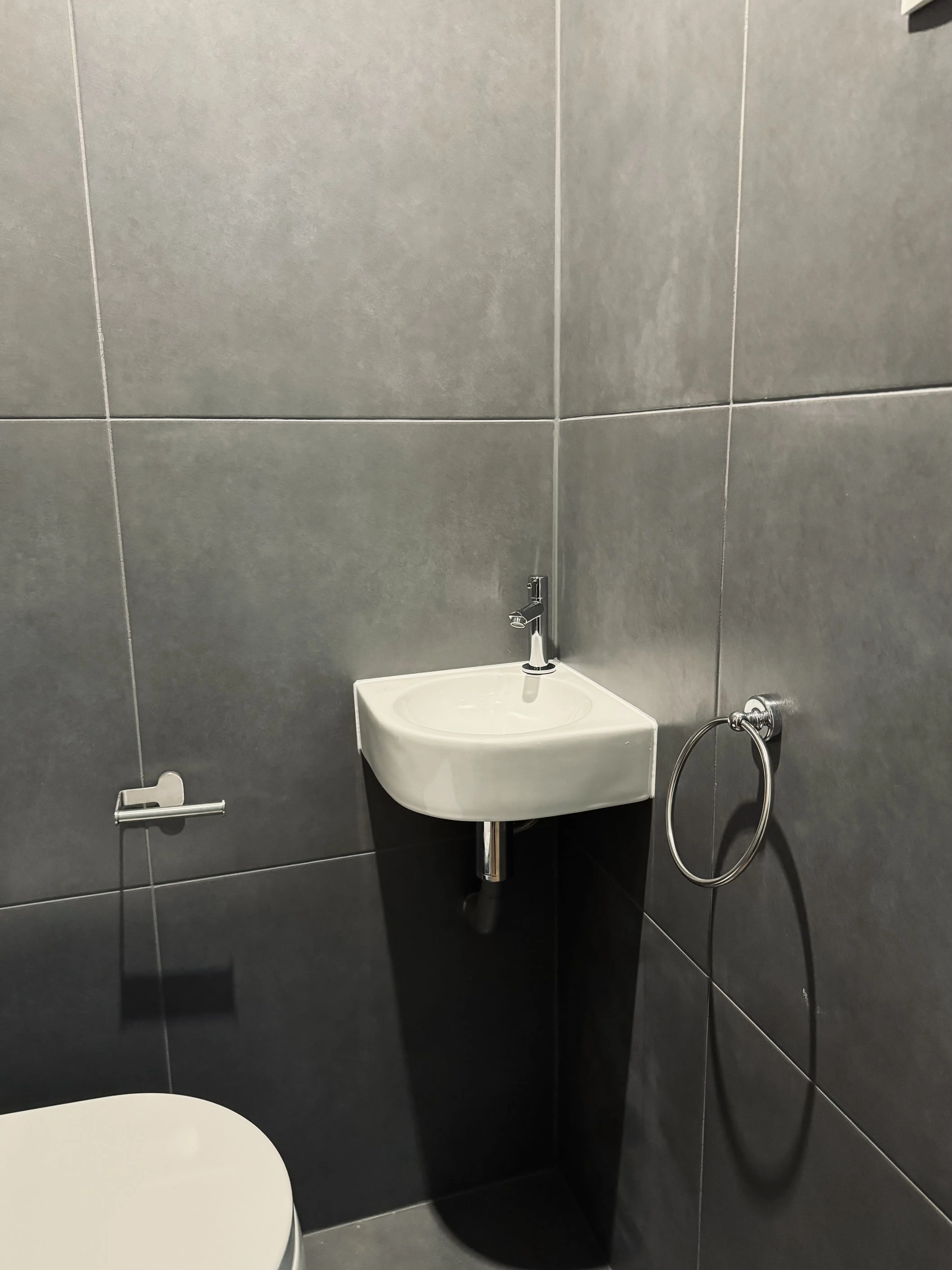 Toilet renovatie Groningen