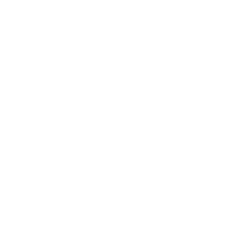 NS logo