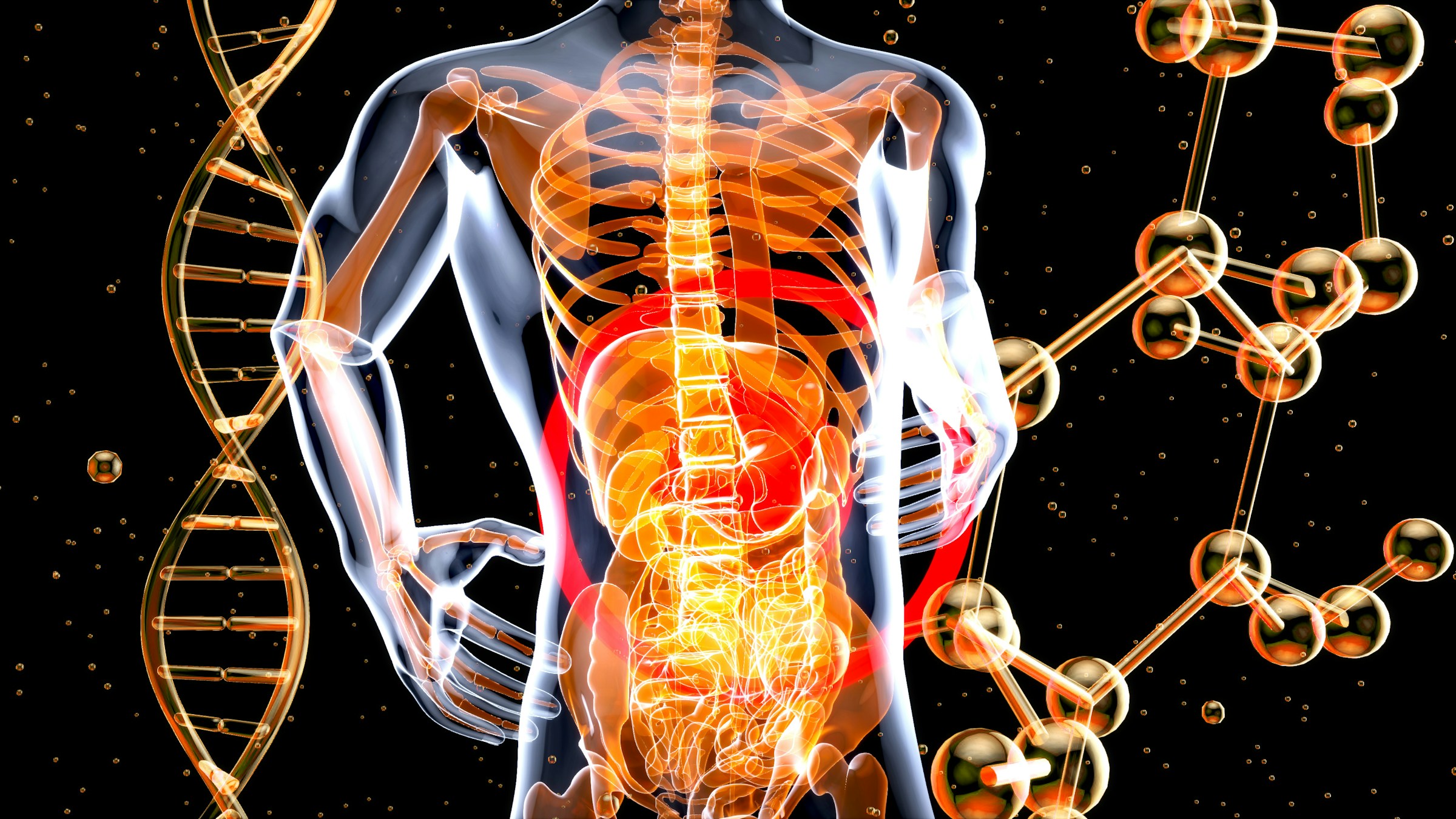 backpain and science behind it - How Can Poor Posture Result in Back Pain