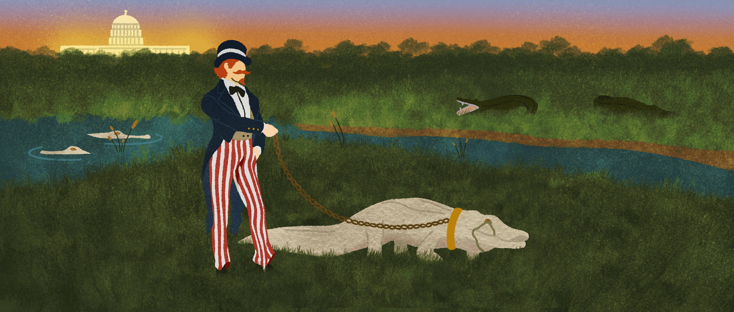 Illustration of an American politician holding an albino alligator on leash through a swamp-like Washington DC.