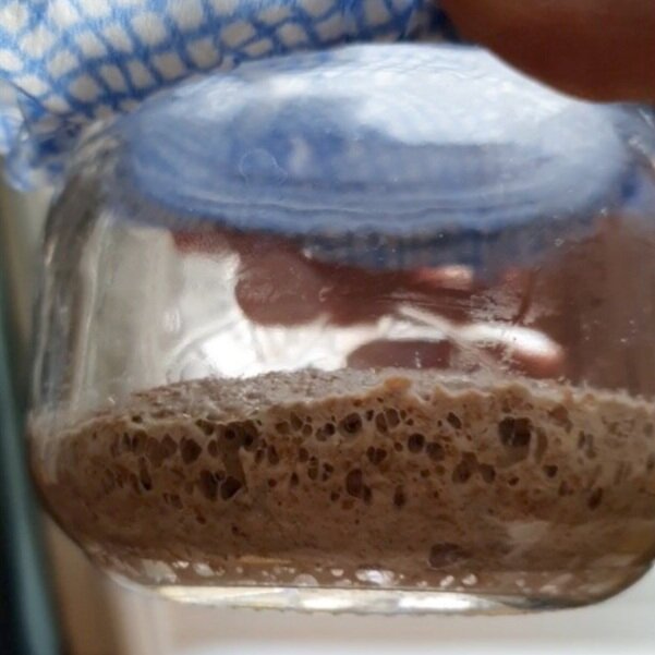 3 days after mixing the starter is lively with big bubbles. Time to start to build.