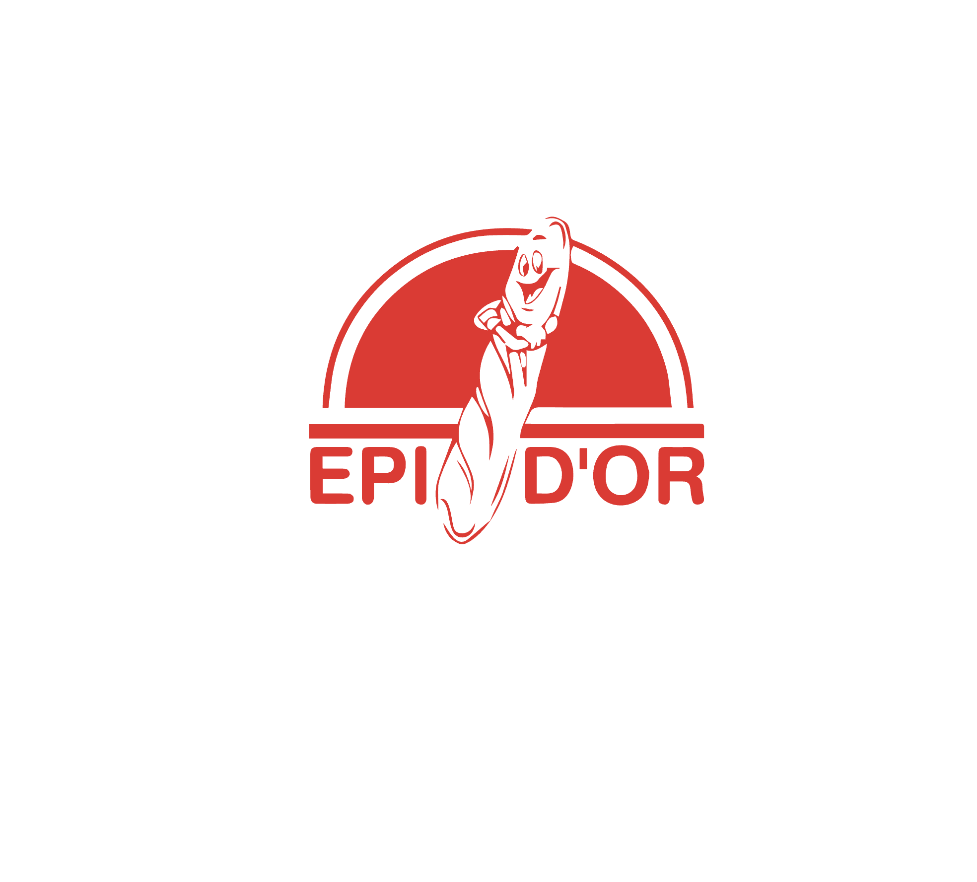 Epidor logo