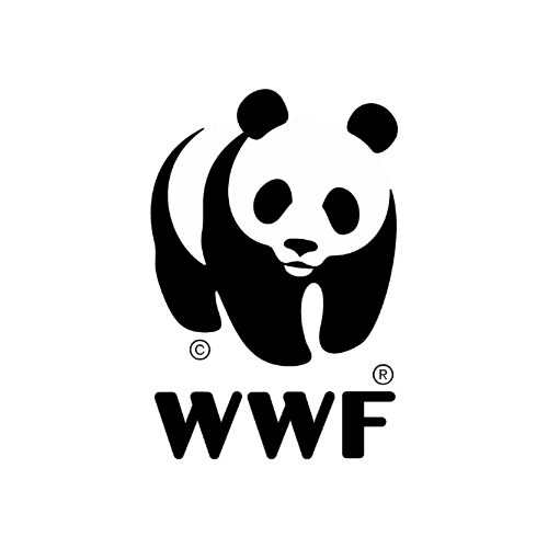 IB logo