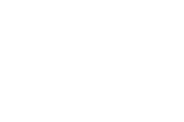 Logo for an imagined company
