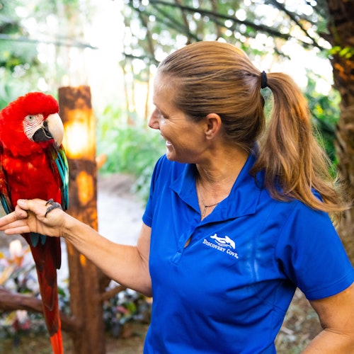 Жена в синя риза на Discovery Cove се усмихва на червен папагал, кацнал на ръката й, на открито в буйна, гориста местност.