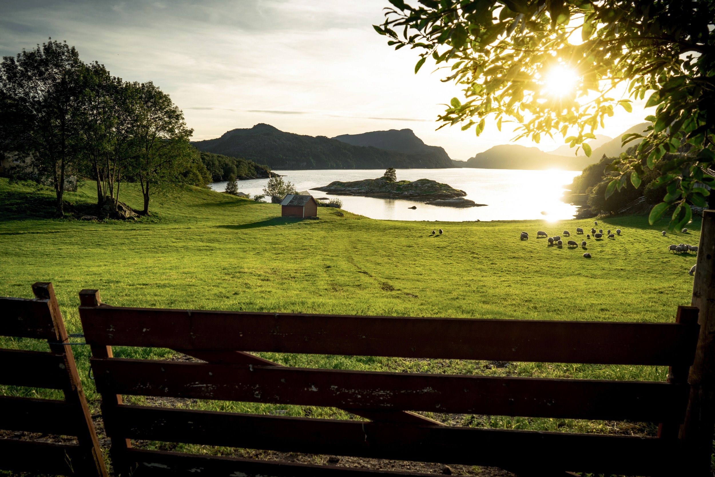 Norway fjord