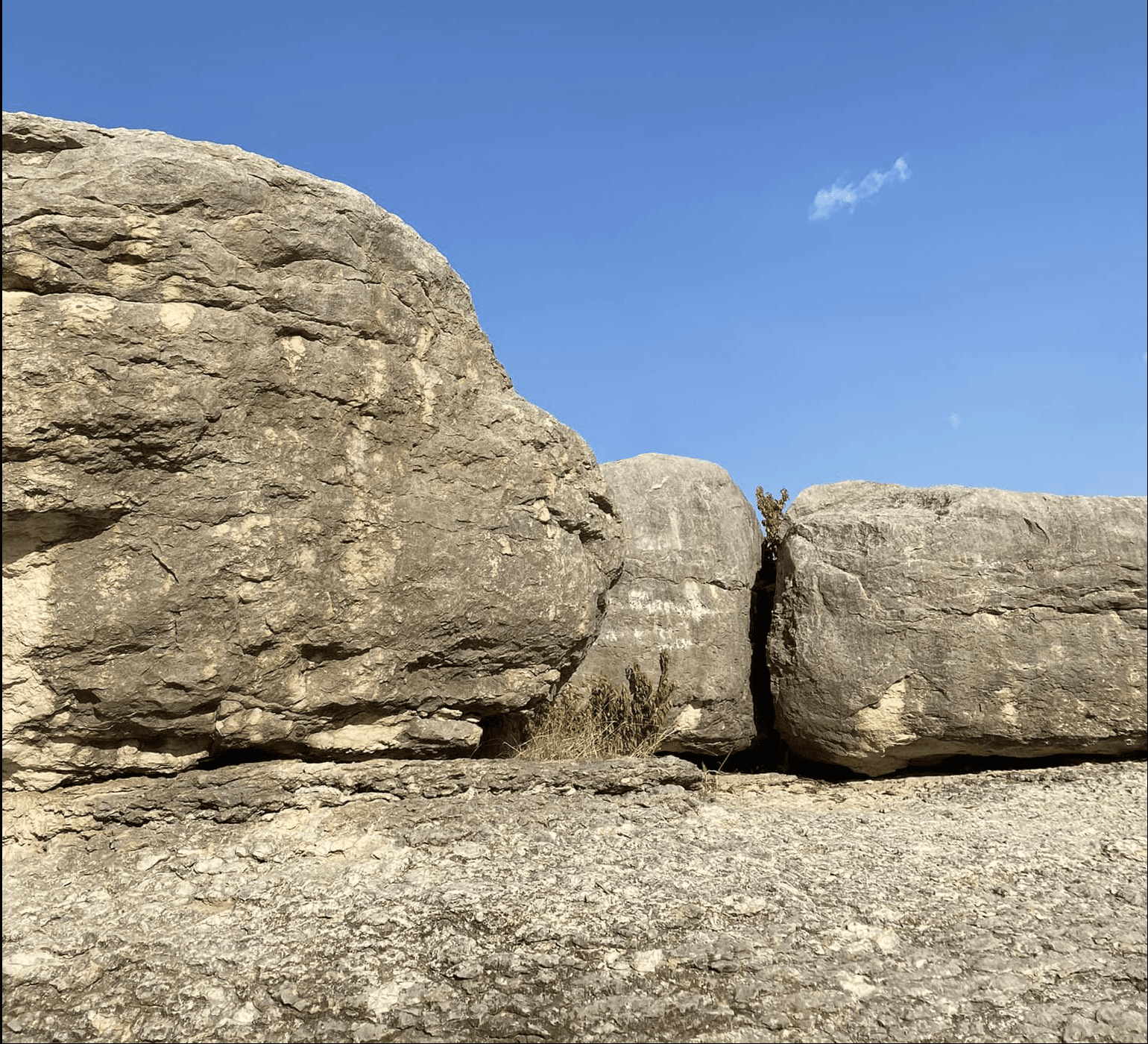 DInosaurValleyStatePark