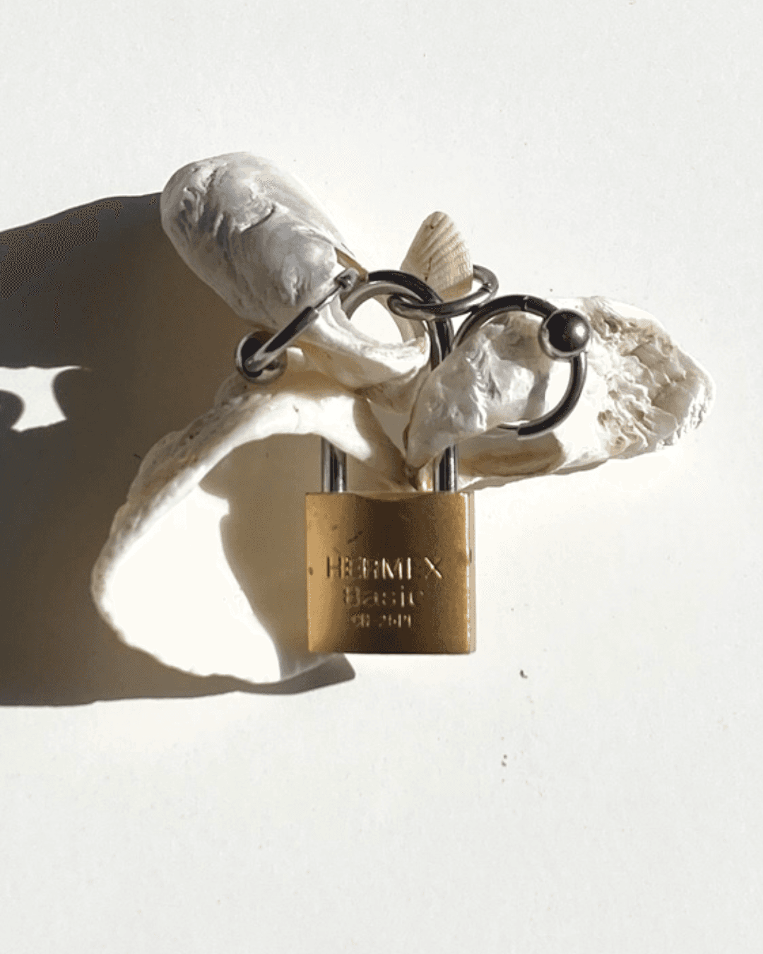 Portrait of portfolio creator