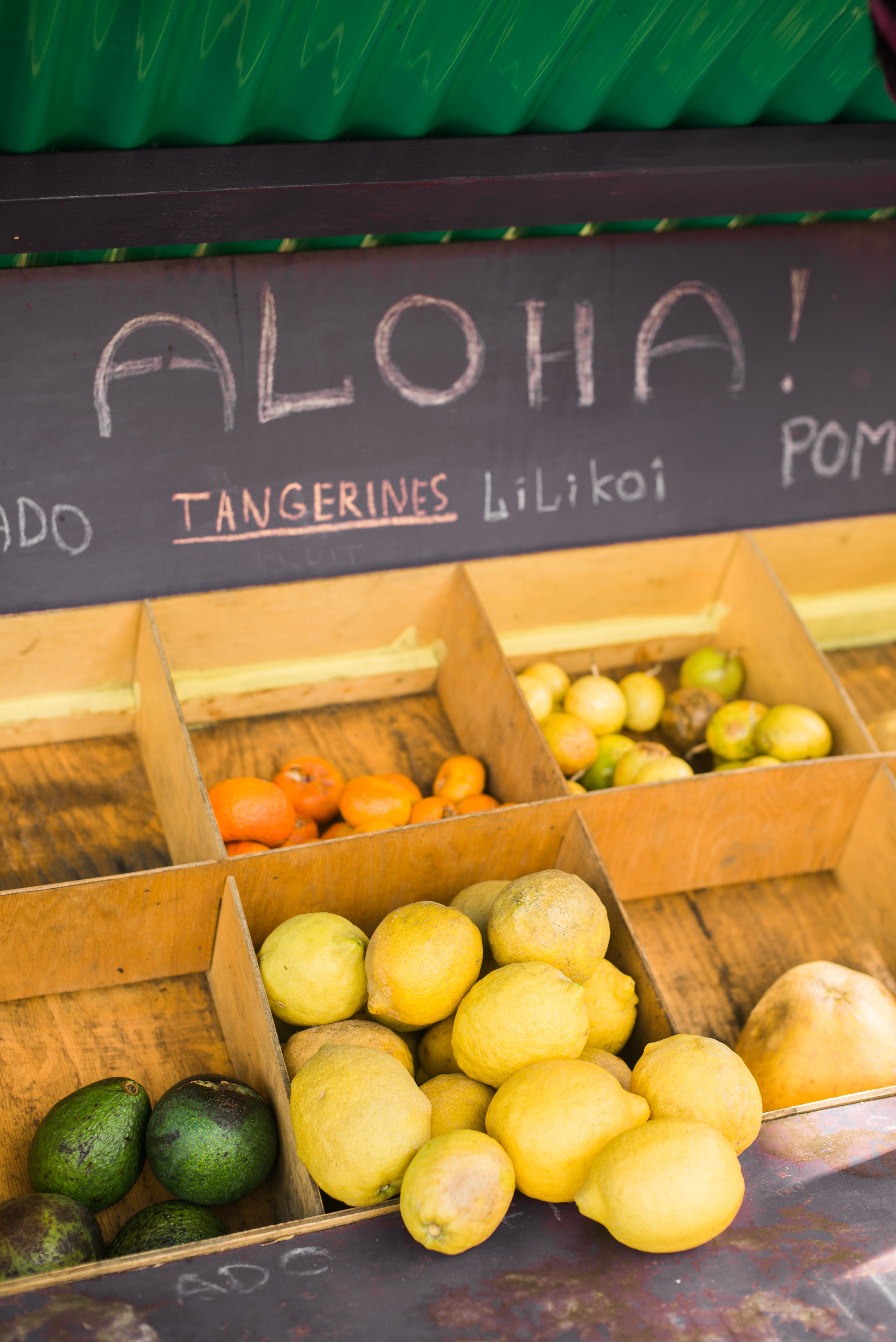 What Most Visitors Don’t Know About Oahu’s North Shore
