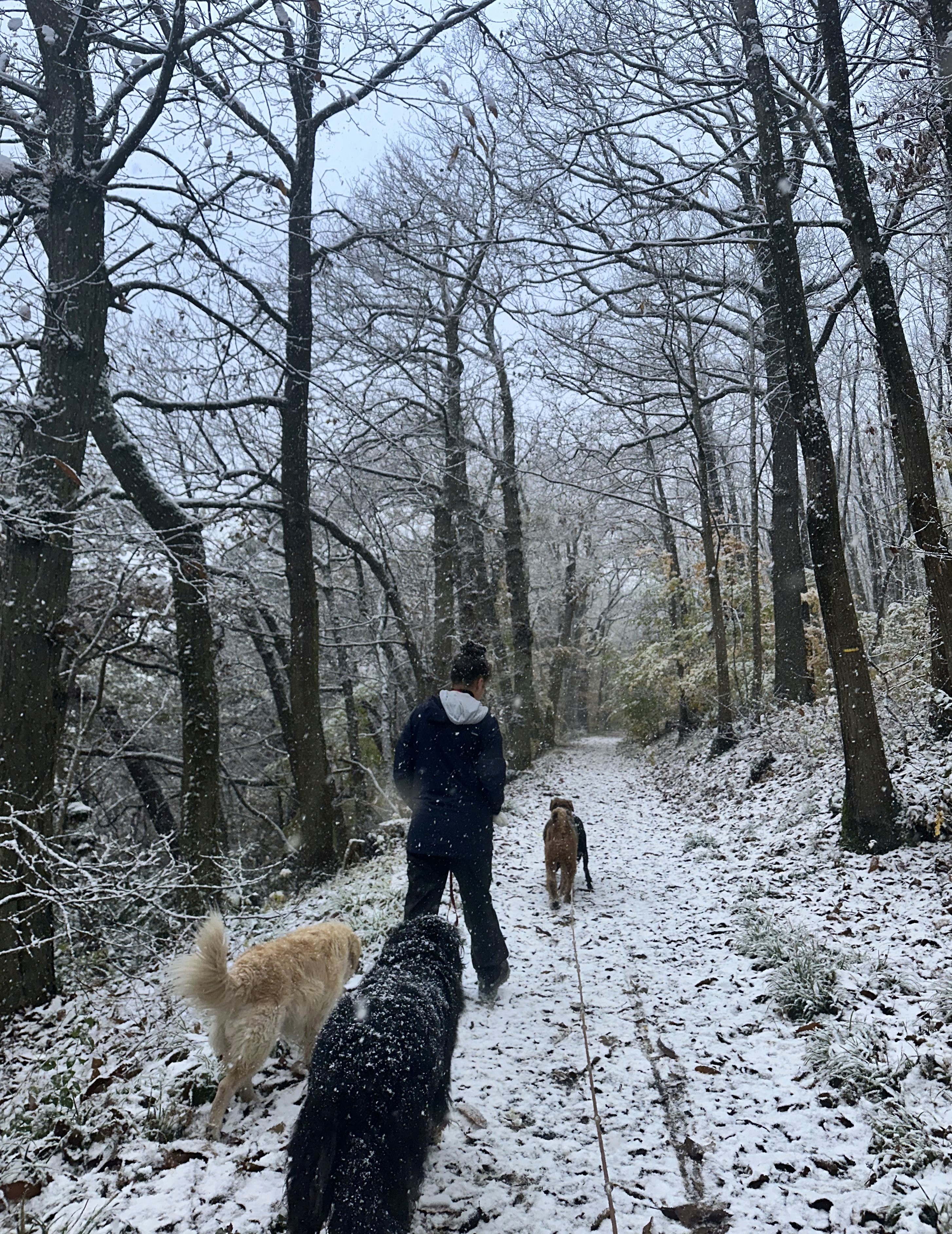 Una&Co Photo Balade éducative