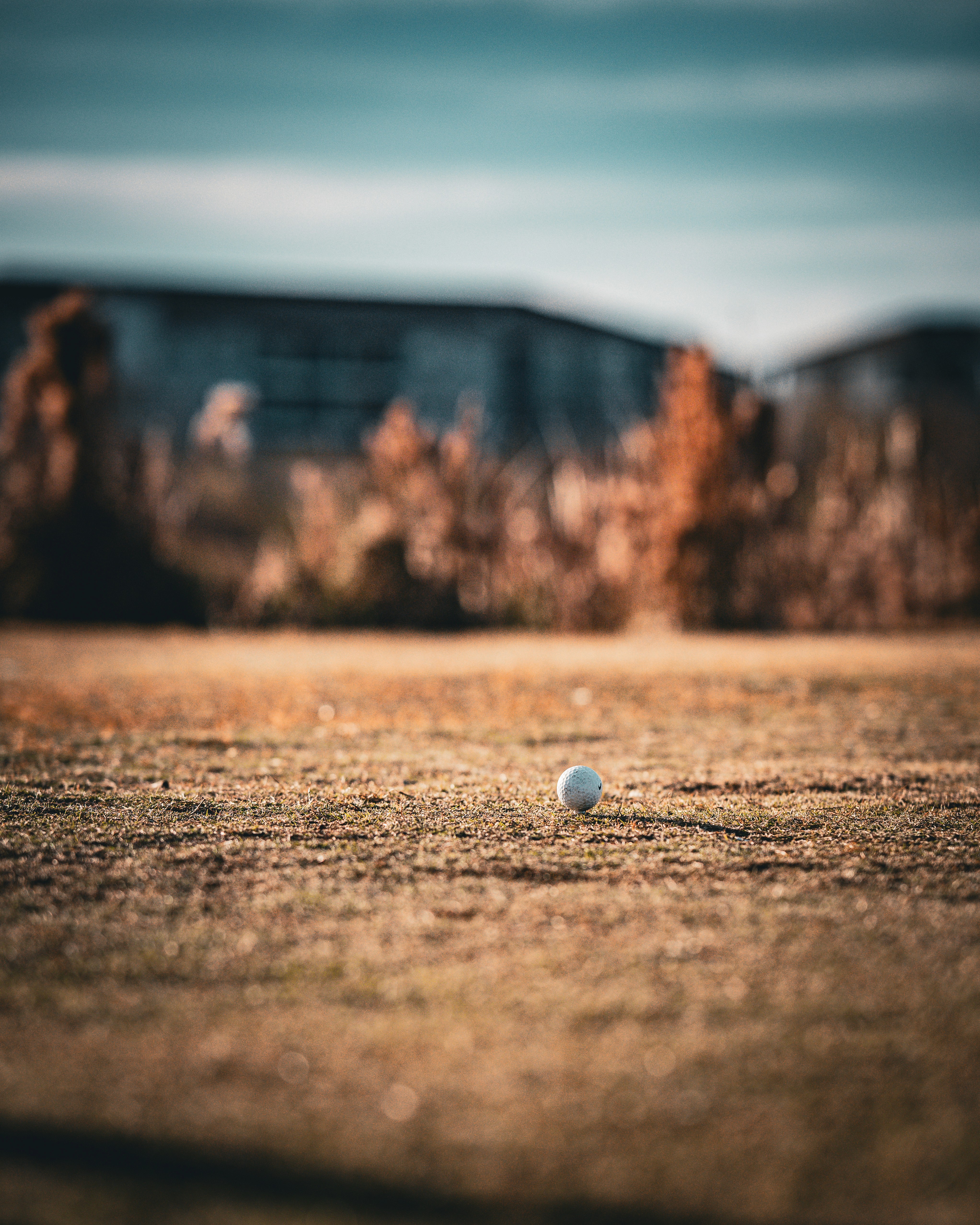 golf photo