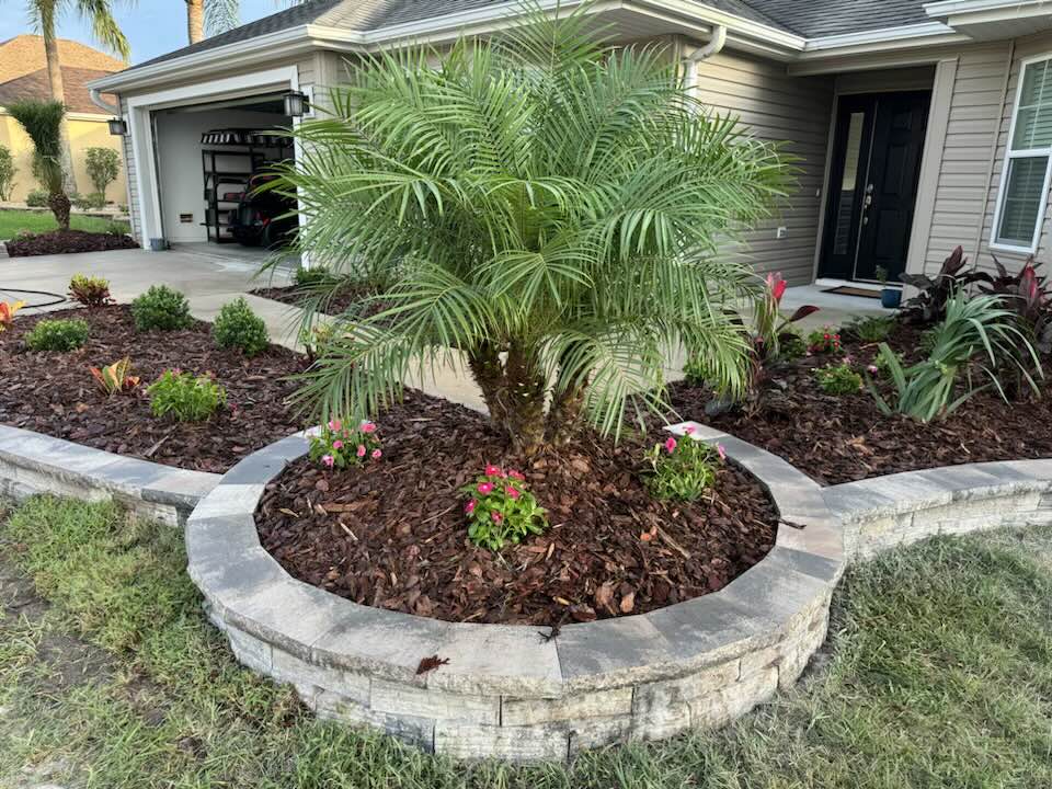 Best Lawn Care Schedule for Florida Homes (The Villages Guide)