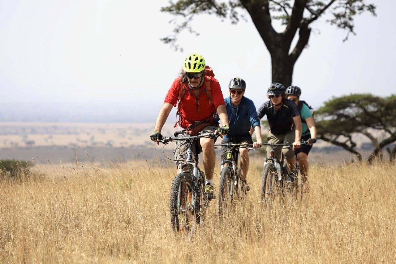 scenery of buildings