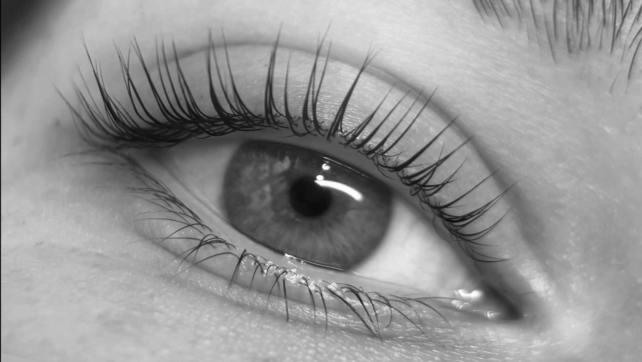 BĒBOHĀ - Behandlung Wimpern