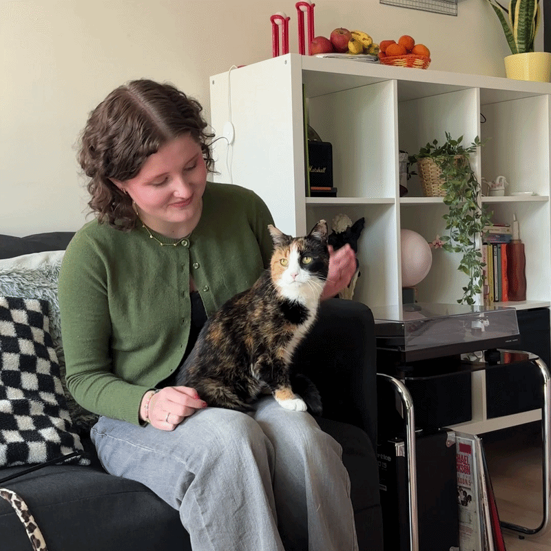 All about pet sitting during your vacation