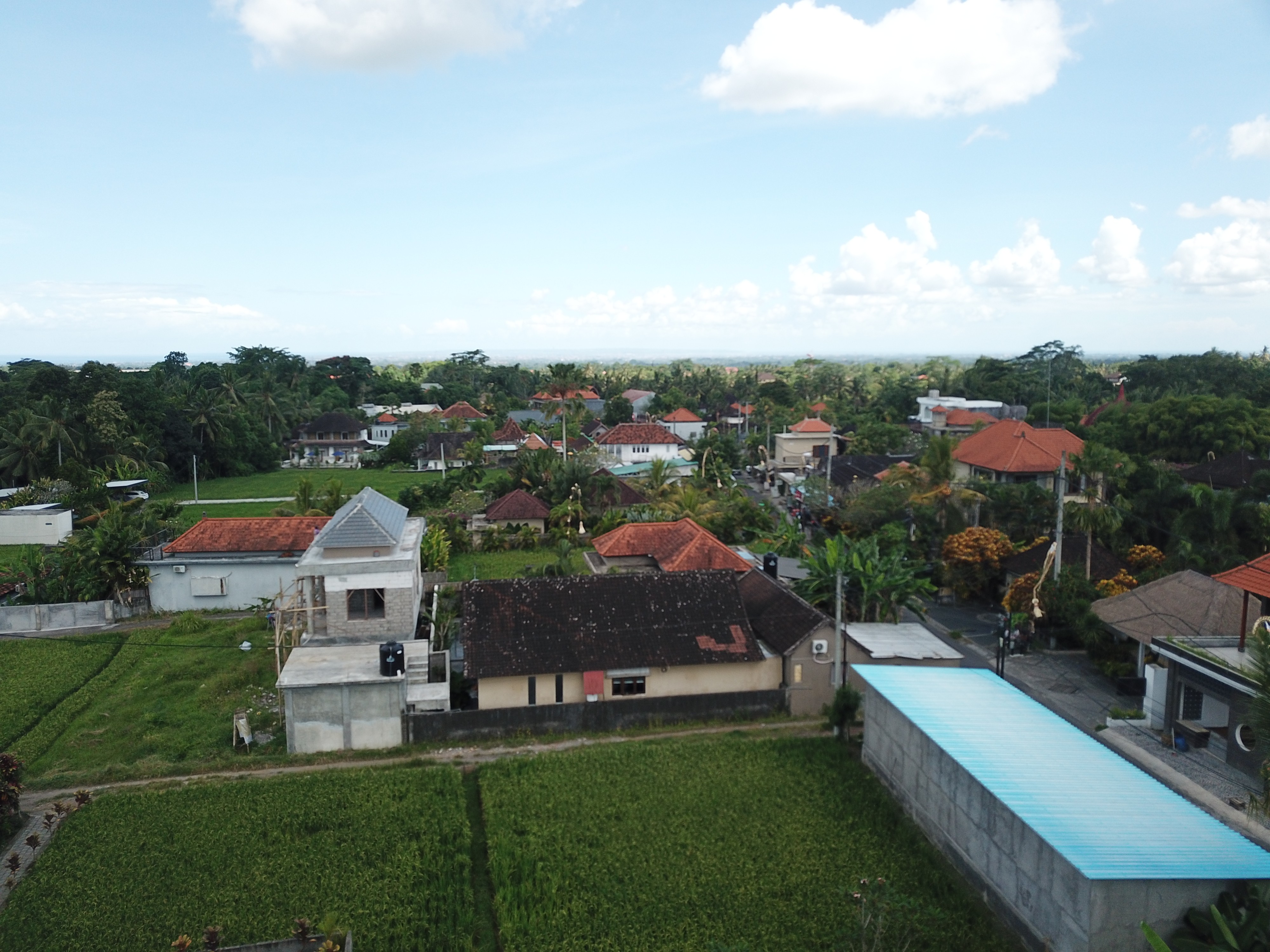 Land plot 3200 m² in Ubud, Leasehold
