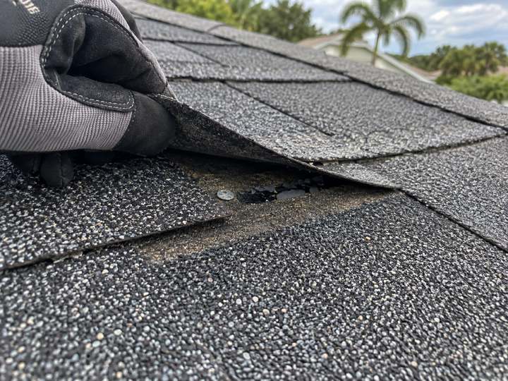 Demo inspection photo — Lifted shingle