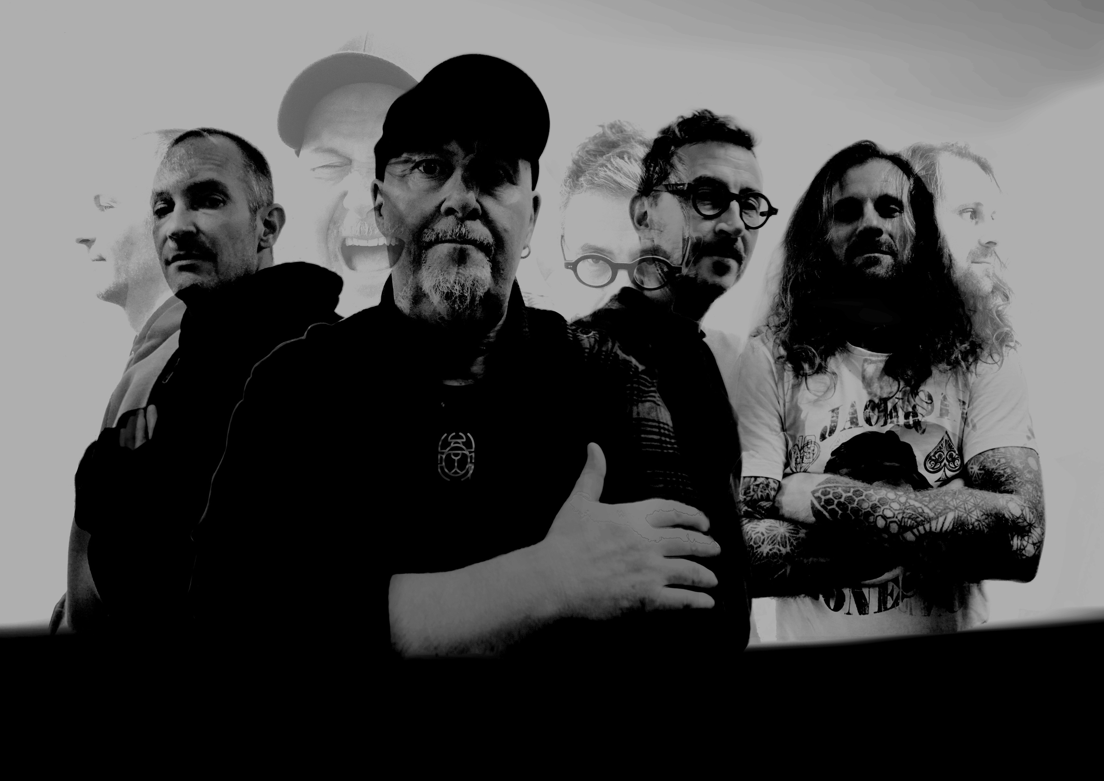  Photo by © The Dungbeetle Conspiracy promo