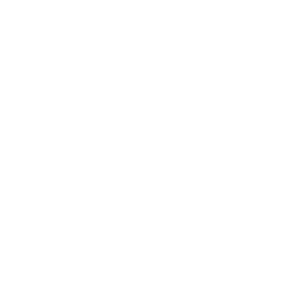 Salomon Foodworld Logo