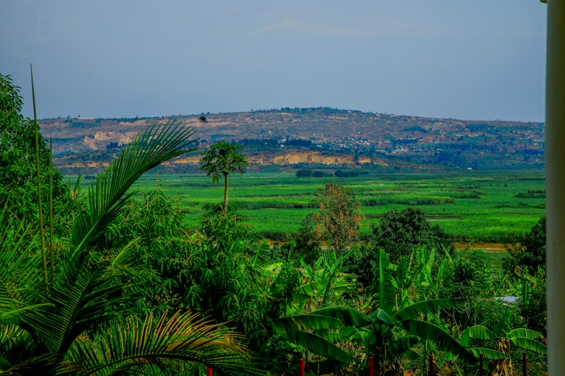 Green valley in Rwanda