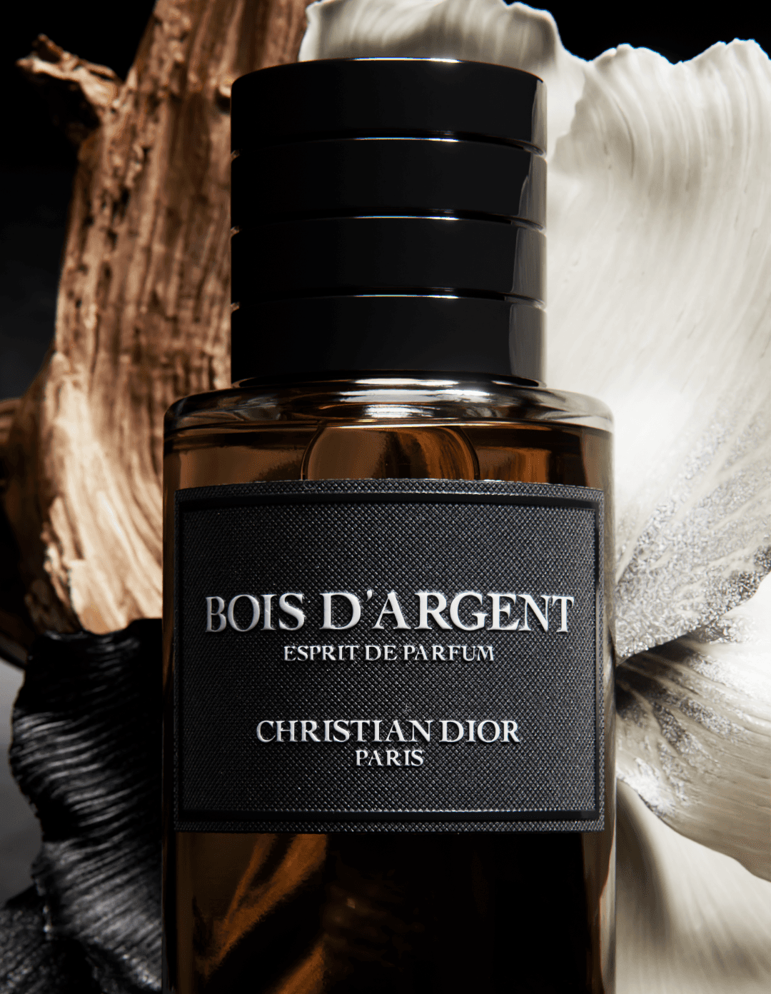 Dior Parfum Lucca Moleta