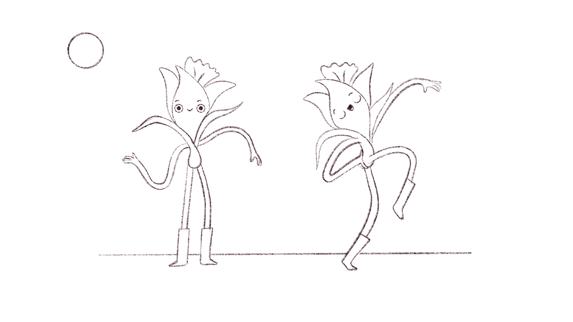 Daffodils daffodils