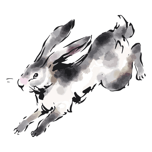 rabbit watercolor png