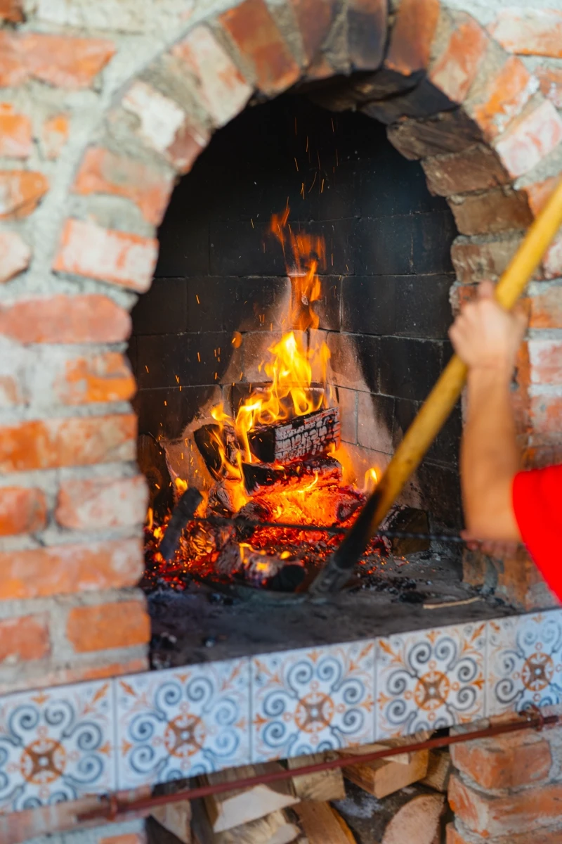 vegetable and meat on bowl